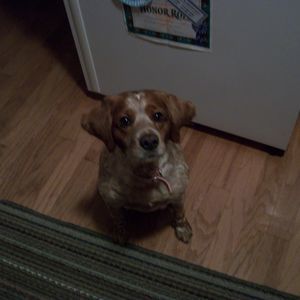 Meet your Posher, Jasonandsarah